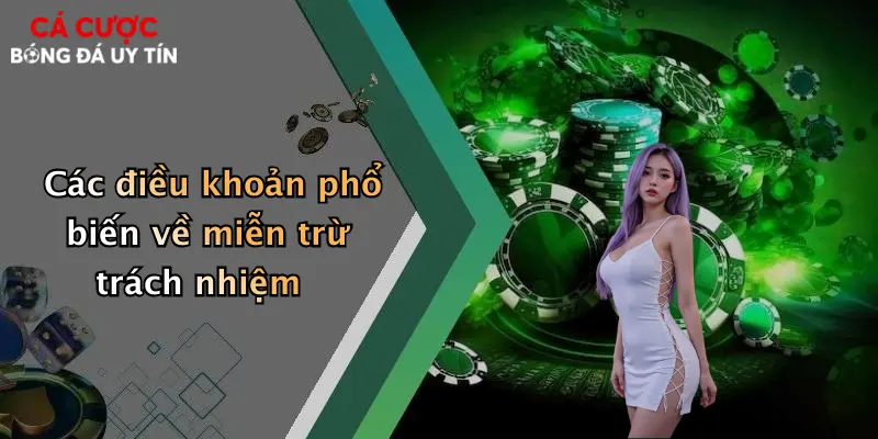 Các điều khoản phổ biến về miễn trừ trách nhiệm