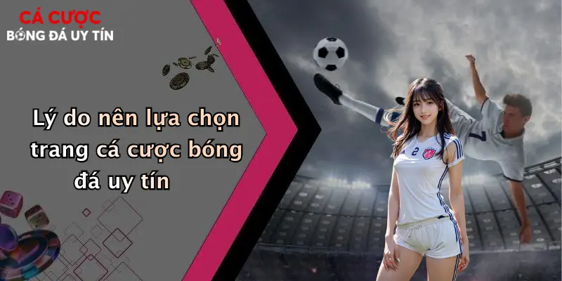 Lý do nên lựa chọn trang cá cược bóng đá uy tín