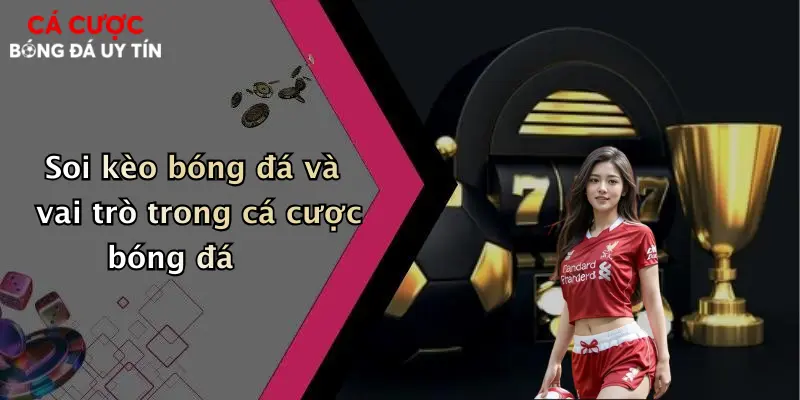 Soi kèo bóng đá và vai trò trong cá cược bóng đá